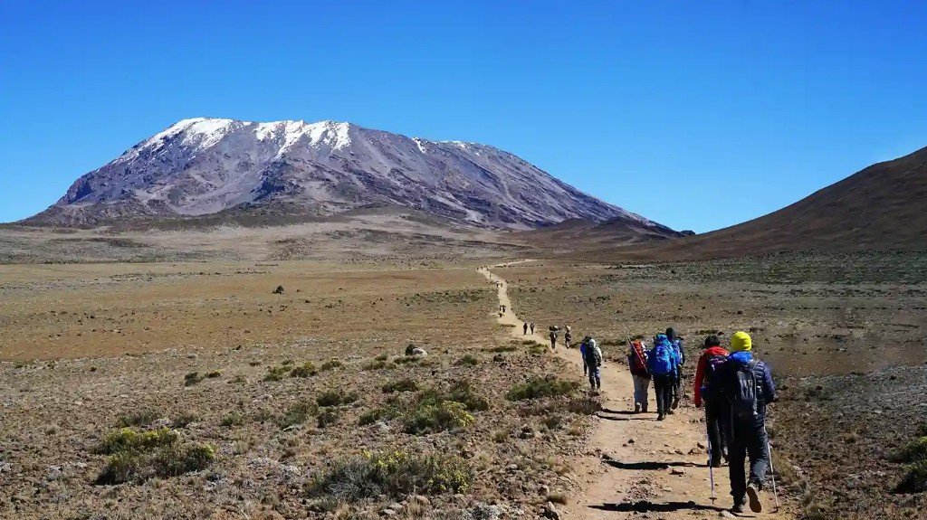 Trekkers on a trail toward the snow-capped summit of Mount Kilimanjaro