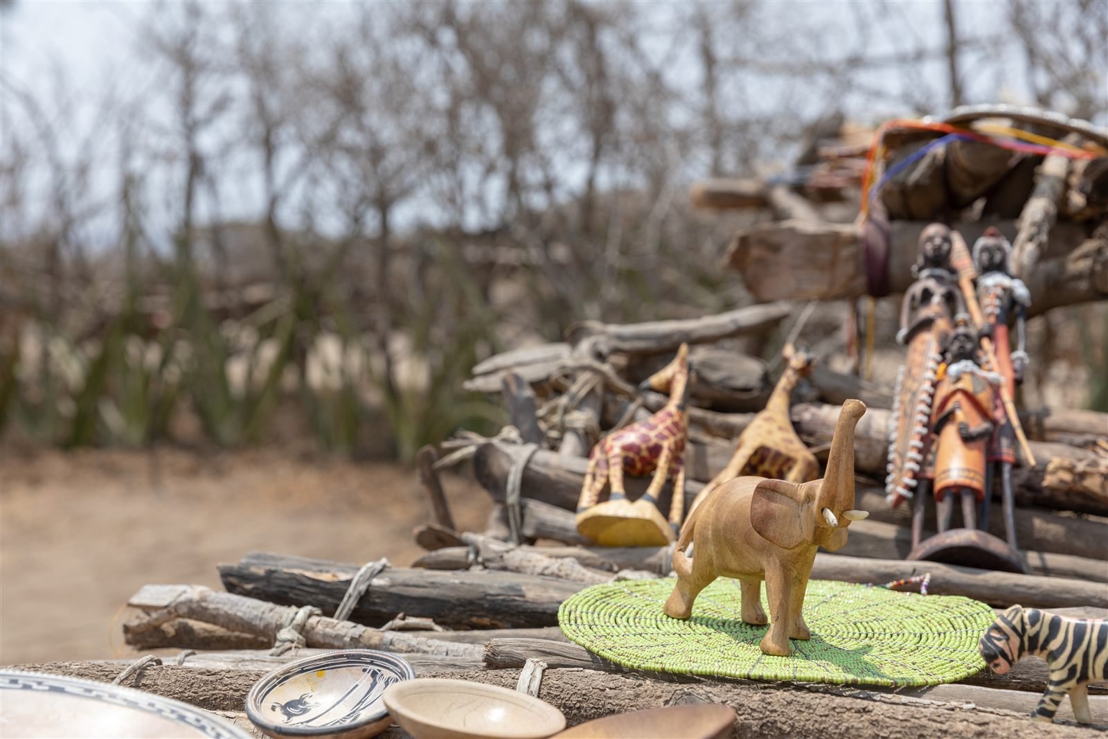Maasai cultural village experience in northern Tanzania