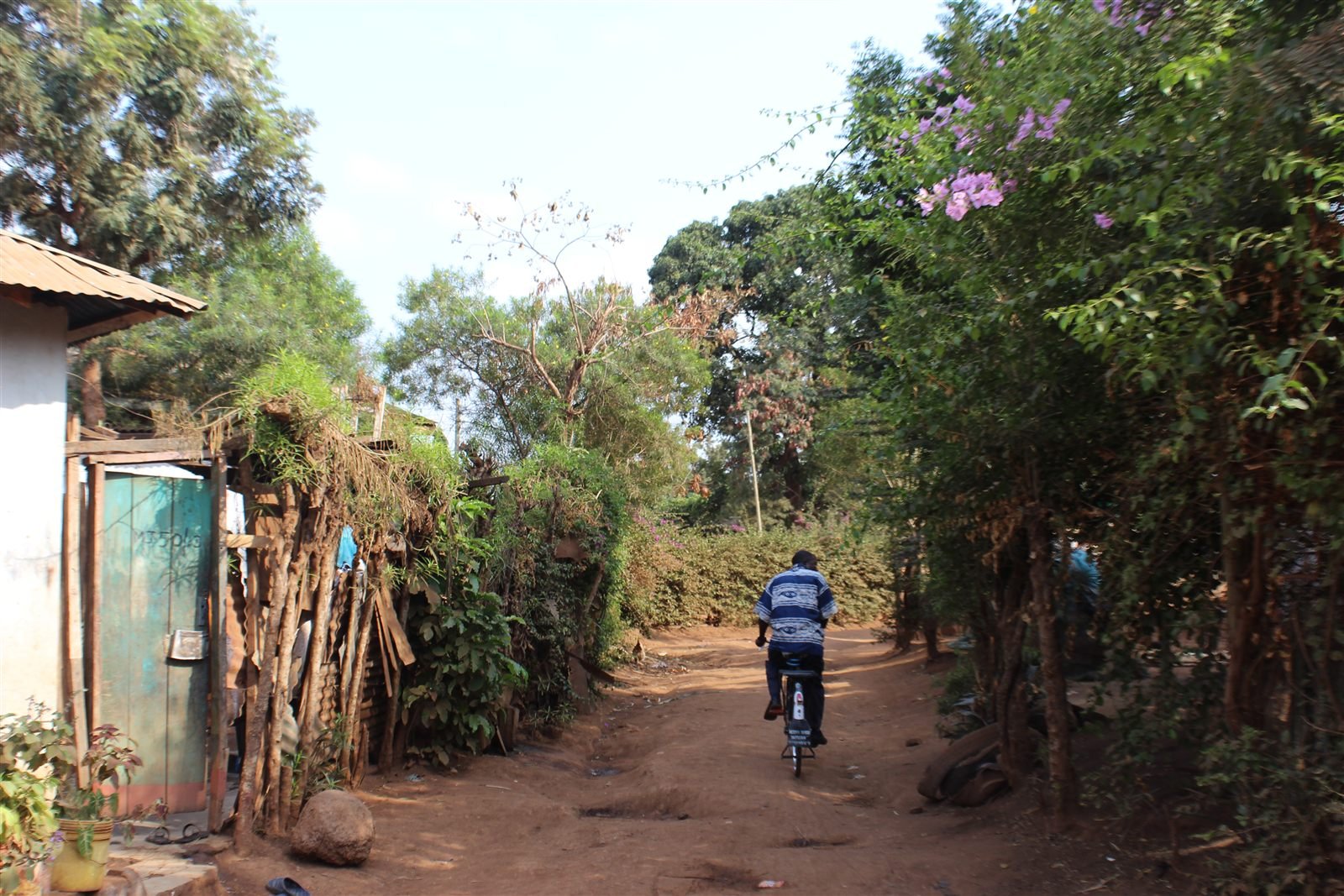 Moshi foothills base for Kilimanjaro cycling day tours
